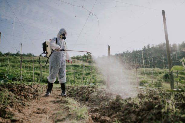Best Pest Control Treatment  in Wedgefield, SC