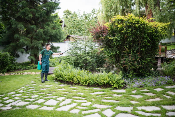 Best Affordable Pest Control Services  in Wedgefield, SC