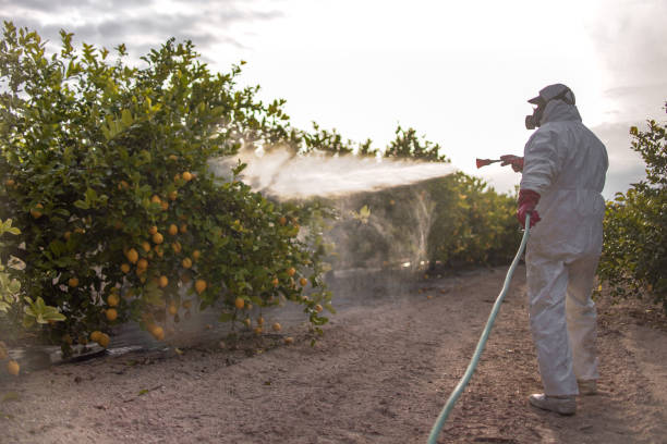 Wildlife Control Services in Wedgefield, SC