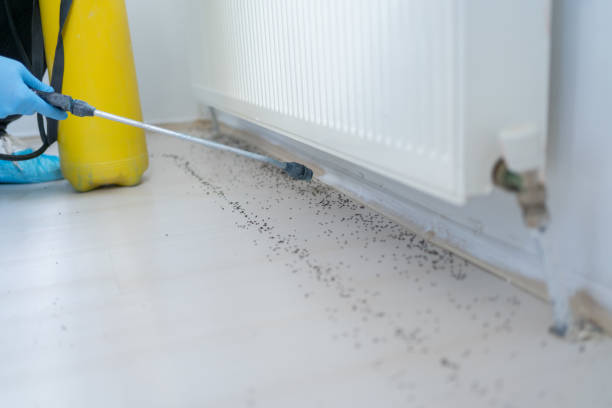 Best Pest Removal Services  in Wedgefield, SC