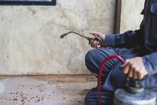 Best Mosquito Control Services  in Wedgefield, SC